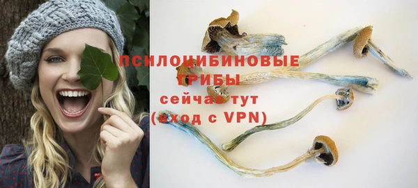 трава Аркадак