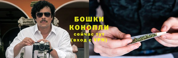 трава Аркадак