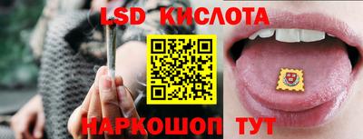 шишки Партизанск
