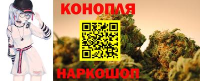 шишки Партизанск