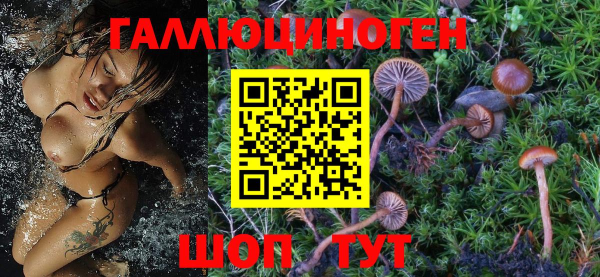 Чернушка  Псилоцибиновые грибы Magic Shrooms  дарнет шоп  Вход с VPN 
