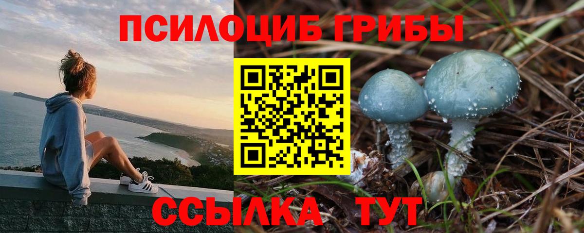 Галлюциногенные грибы прущие грибы Чернушка